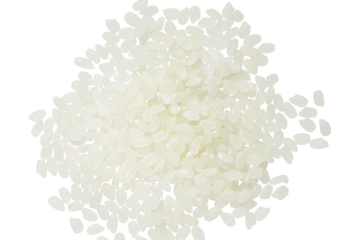 JAPONICA RICE – Fresto